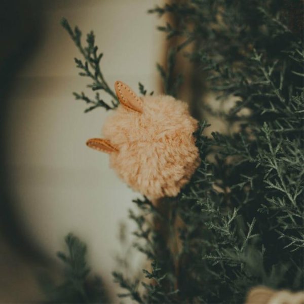 Myinve.shop0642cc05bc 2